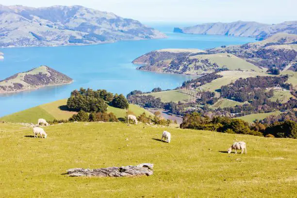 Banks Peninsula The Windiest Place On Earth