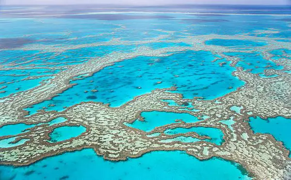 The Ultimate Guide To Exploring Australia's Great Barrier Reef